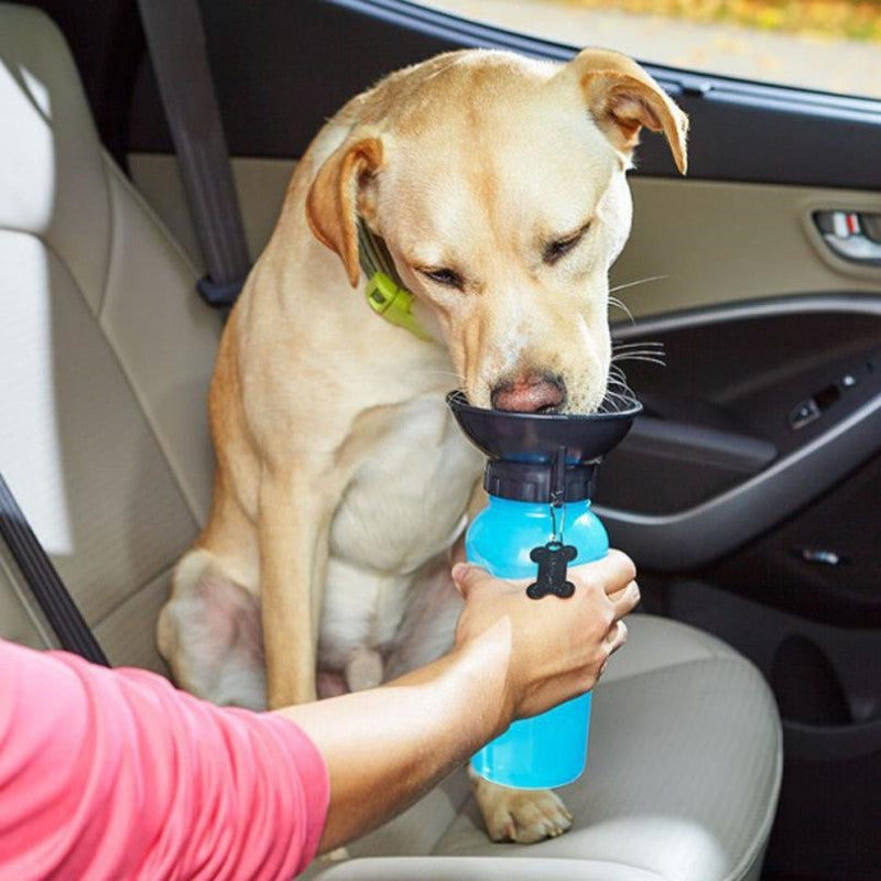 Portable Outdoor Pet Dogs Drinking Water Bottle